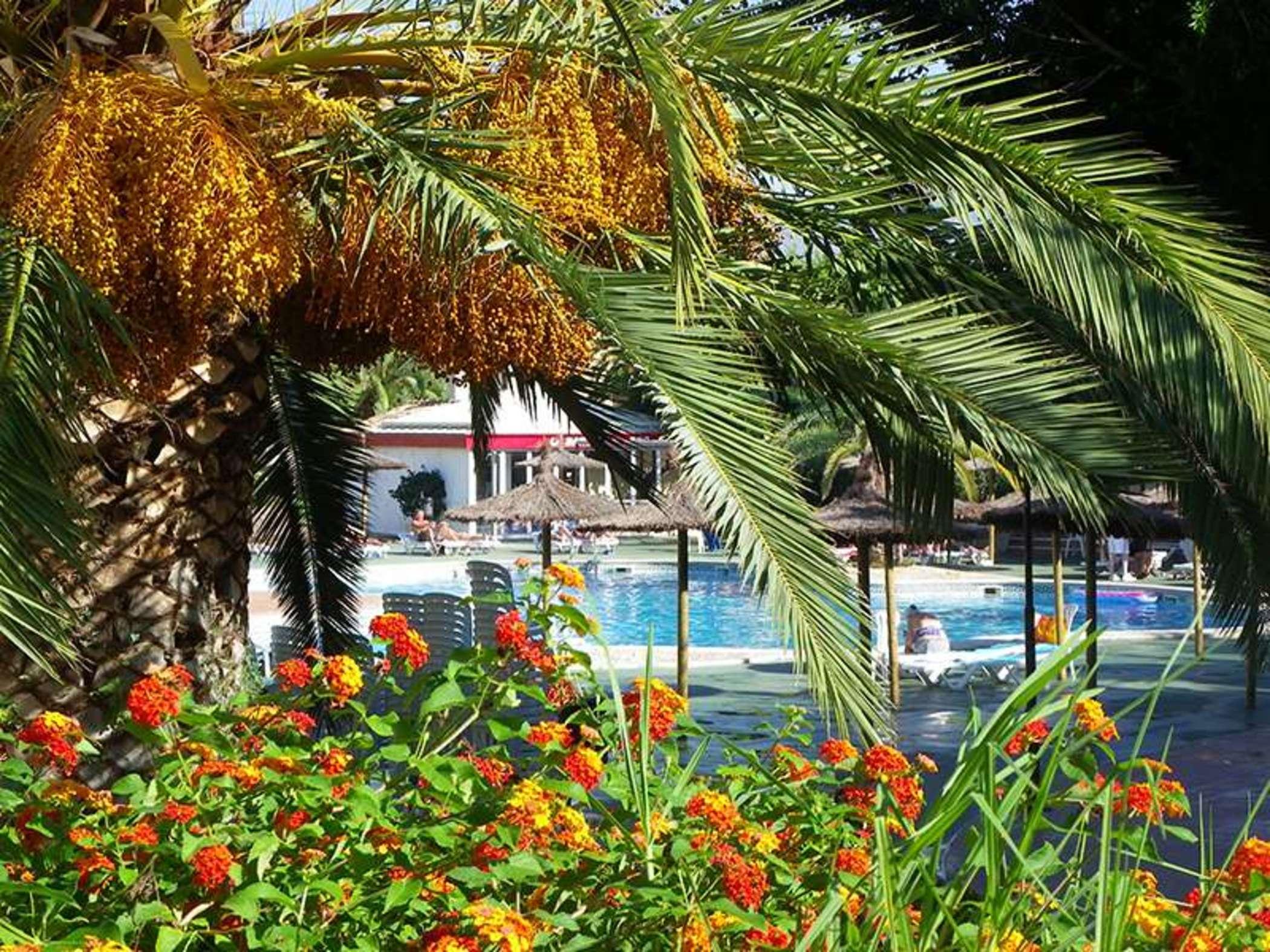 Albir Garden El Albir